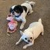 Stephen Frick - Facebook