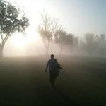 Stephen Frye - @mustangili - Instagram