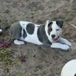 Stephen Fulcher - @stephen.fulcher - Instagram