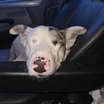 Stephen Fulcher - @stephenfulcher2019 - Instagram