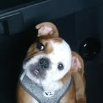 stephen fulcher - @fulcher_stephen - Instagram
