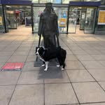 Steve Fulcher - @stephenfulcher1 - Instagram