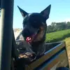 Stephen Fulford - @stephenfulford0 - TikTok
