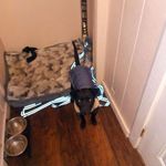 Stephen Futrell - @stephenfutrell - Instagram