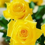 gaddam stephen - @gaddam.stephen - Instagram