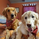 Stephen Gaddi - @stephengaddi - Instagram