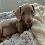 Stephen Gainey - @stephen.gainey.92 - Instagram