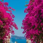 Stephen J. Colon - Facebook