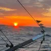 Stephen Gallup - @stephen.gallup - TikTok
