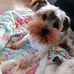 Stephen Gaston - Facebook