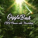 Stephen Gaston - @gigglebush_co - Instagram