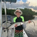 Stephen Gaston - @gastonstephen - Instagram