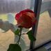 Stephen Gilbertson - Facebook