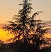 Steve Gilpatrick - Facebook
