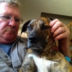 Stephen Gingras - Facebook