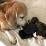 Steven Ginsberg - @ginsberg.steven - Instagram