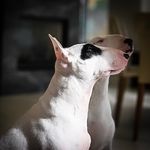 Steven Glickman - @sensei_steve - Instagram