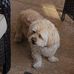 Steven Goldblatt - Facebook