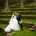 Steve Goldschmidt - Facebook