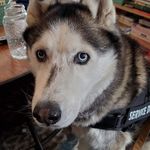 Stephen Gooch - @gooch_stephen - Instagram