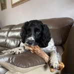 Stephen Gooch - Facebook