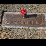 Stephen Gosnell - @stephenhgosnell - Instagram
