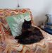 Stephen Goth - Facebook