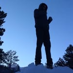 Stephen Gottschalk - @diplostephanous - Instagram