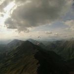 Stephen Greenall - @stephengreenall - Instagram