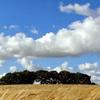 stephengreenway71 - @stephengreenway71 - TikTok