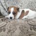 Stephene Grenier - Facebook
