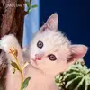 Stephen Gresh - @stephen.gresh - TikTok
