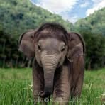 Mary Beth Grinnell Stephenson - Facebook