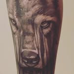 Stephen Groom - @fu_b4r - Instagram