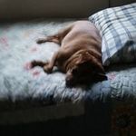 Stephen Grover - @stephen.grover.12 - Instagram