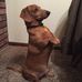 Stephen Gulick - Facebook