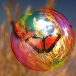 Stephen Gunning - @globalteamleads - Instagram