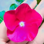 Stephen Agustin - @stephen.agustin.948 - Instagram