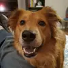Stephen A192 - @stephen.ha - TikTok