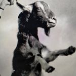 Stephen Hackett - @stephen.hackett39 - Instagram