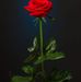 Stephen Hackett - Facebook