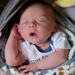 Stephen Hadfield - @stephen.hadfield2 - Instagram