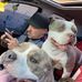 Stephen Hafner - Facebook
