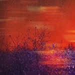 Stephen Hafner - @hafner_stephen - Instagram
