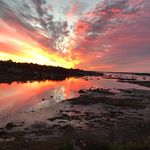 Stephen Haigh - @sbhaigh - Instagram