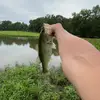 Stephen - @stephen.hall0 - TikTok