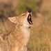 Stephen Hambright - Facebook
