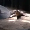 Stephen Hambright - @stephen.hambright - TikTok