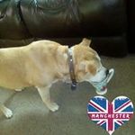 Stephen Hardcastle - @stephen.hardcastle.96 - Instagram