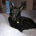 Stephen Hardcastle Sr. - Facebook